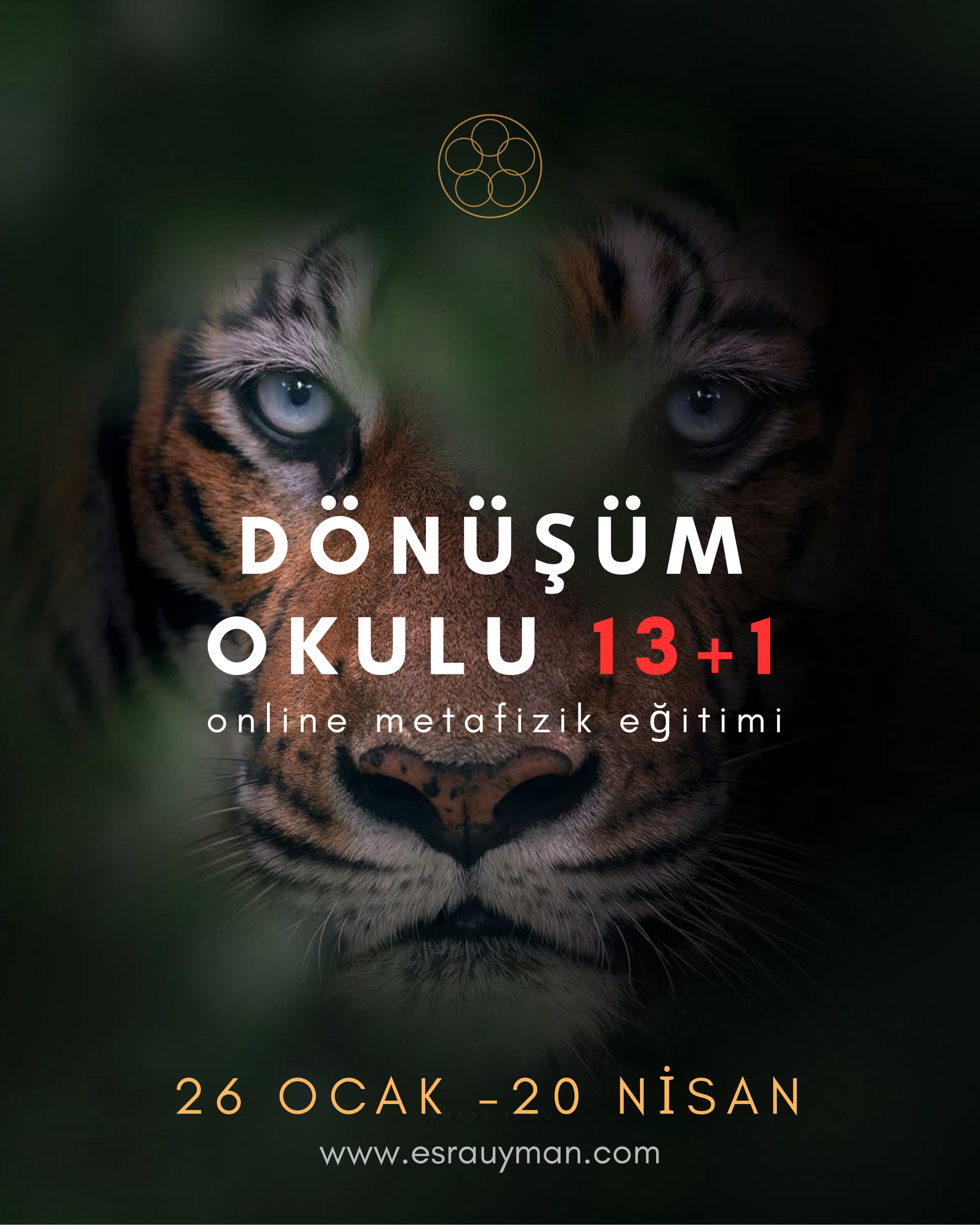 Dönüşüm Okulu 13+1 26 Ocak - 20 Nisan