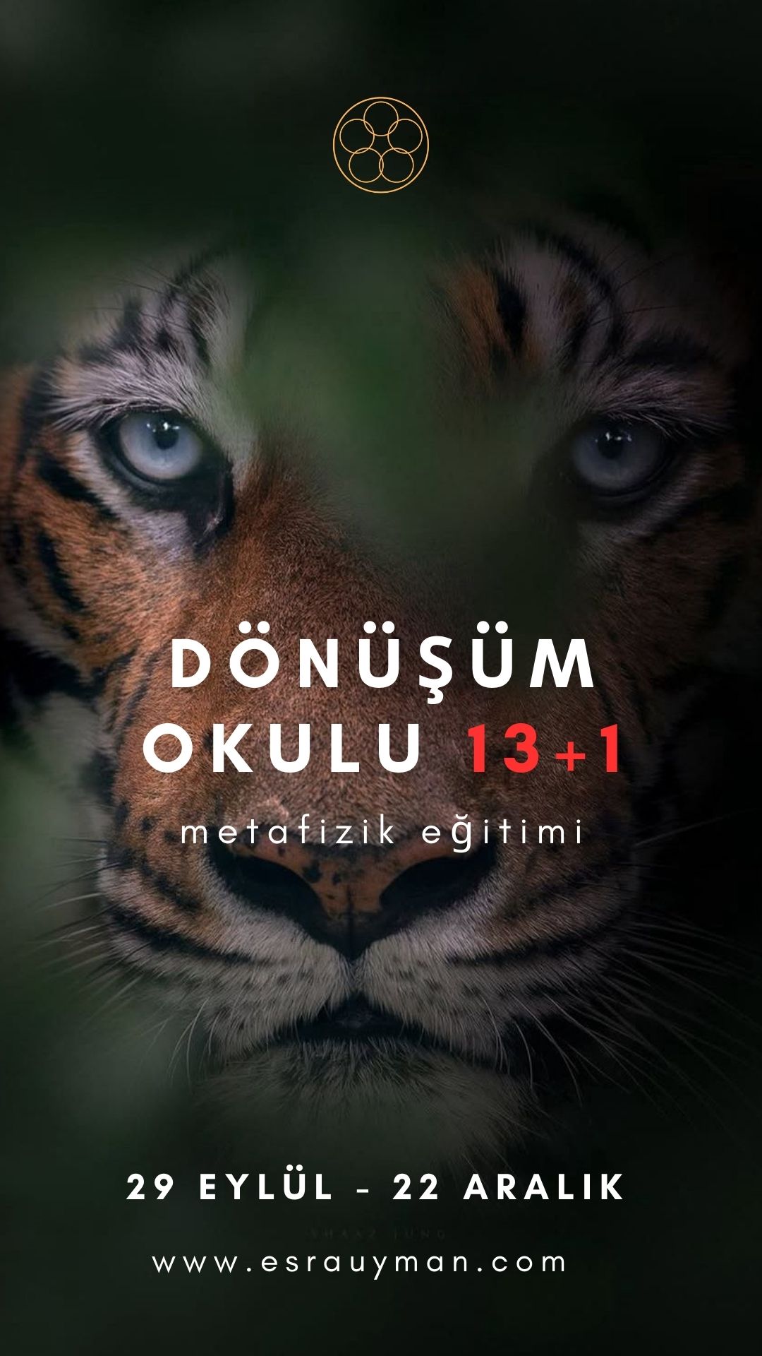 Dönüşüm Okulu 13+1
